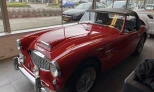Austin Healey 1959 Gasoline Manual