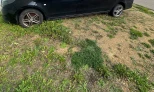 Mercedes-Benz Vito 2019 Diesel Automatic