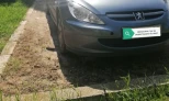 Peugeot 307 2004 Gasoline Manual