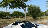 Mazda MX-5 2021 Gasoline Automatic