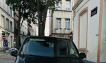 Volkswagen T6 Transporter 2018 Diesel Automatic