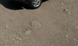 Volkswagen Tiguan 2012 Diesel Manual