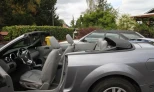 Ford Mustang 2006 Gasoline Automatic