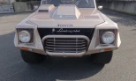 Lamborghini LM 1988 Gasoline Manual