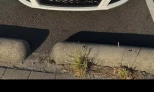SEAT Leon 2012 Diesel Manual