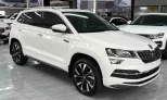 Skoda Karoq 2023 Gasoline Automatic