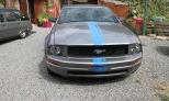 Ford Mustang 2006 Gasoline Automatic