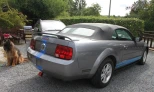 Ford Mustang 2006 Gasoline Automatic