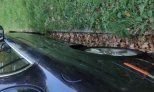 Jaguar S-Type 2007 Diesel Automatic