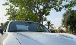 Mazda MX-5 2021 Gasoline Automatic