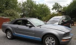 Ford Mustang 2006 Gasoline Automatic
