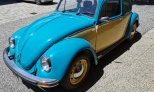 Volkswagen Beetle 1979 Gasoline Manual
