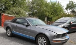 Ford Mustang 2006 Gasoline Automatic