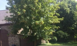 Pontiac Catalina Safari 1969 Gasoline Automatic