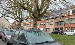 Renault Grand Scenic 2008 Gasoline Manual