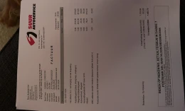 Tesla Model 3 2023 Electric Automatic