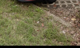 MINI One 2017 Gasoline Manual