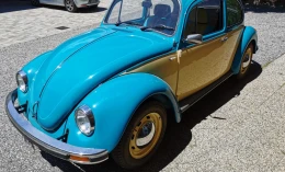 Volkswagen Beetle 1979 Gasoline Manual