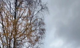 MG EHS 2022 Hybrid Electric/Gasoline Automatic