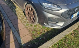 Ford Fiesta 2024 Hybrid Electric/Gasoline Manual