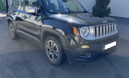 Jeep Renegade 2017 Gasoline Manual