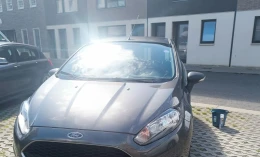 Ford Fiesta 2016 Gasoline Manual