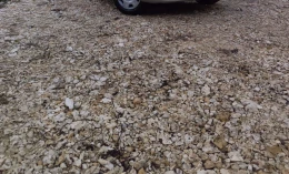 Fiat Punto 2004 Gasoline Manual