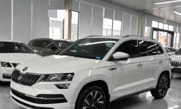 Skoda Karoq 2023 Gasoline Automatic