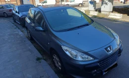 Peugeot 307 2007 Gasoline Manual