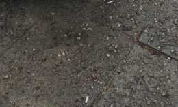 Mercedes-Benz E 270 2004 Diesel Automatic