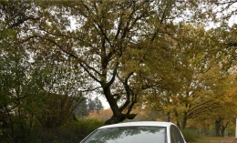 SEAT Ibiza 2016 Gasoline Manual