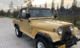 Jeep CJ-8 1981 Gasoline Manual