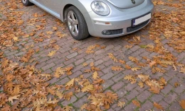 Volkswagen New Beetle 2011 Gasoline Manual