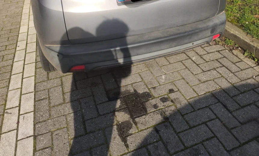 Peugeot 2008 2015 Gasoline Manual Image 9