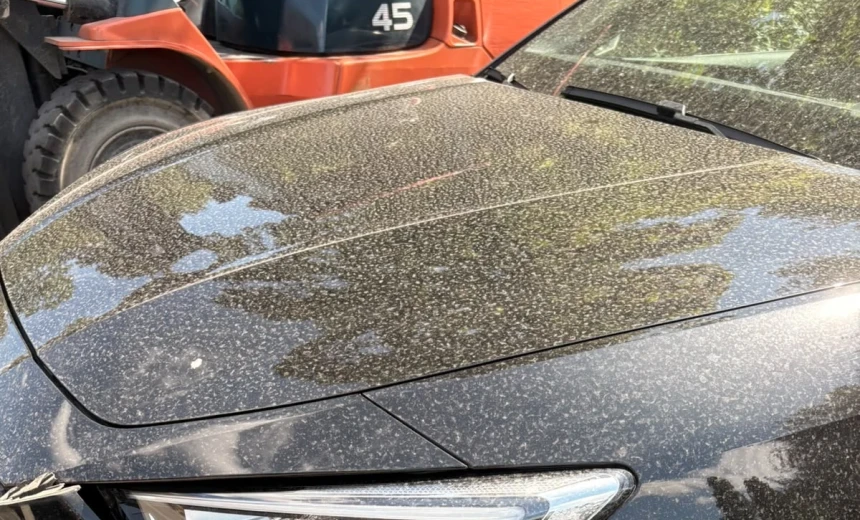 SEAT Leon e-Hybrid 2021 Hybrid Electric/Gasoline Automatic Image 7