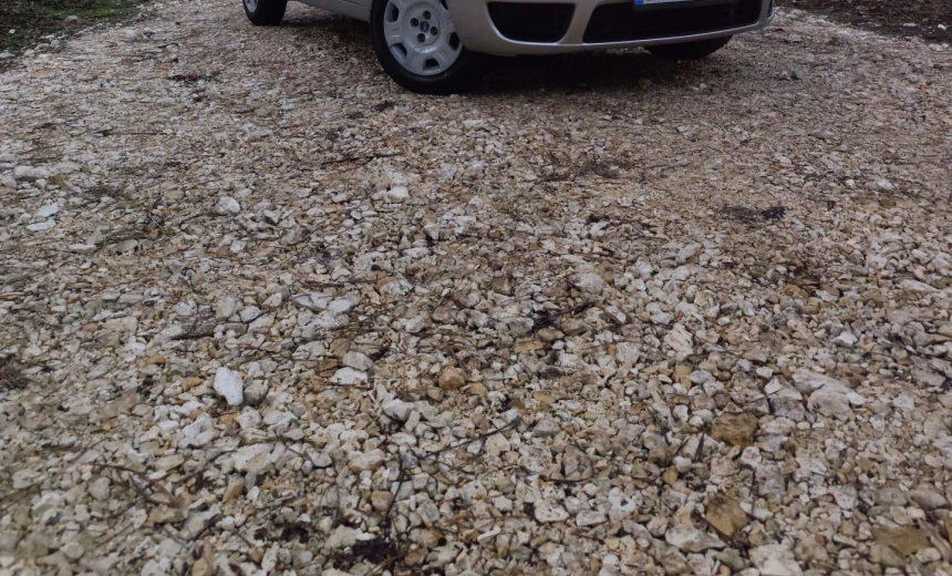 Fiat Punto 2004 Gasoline Manual Image 0