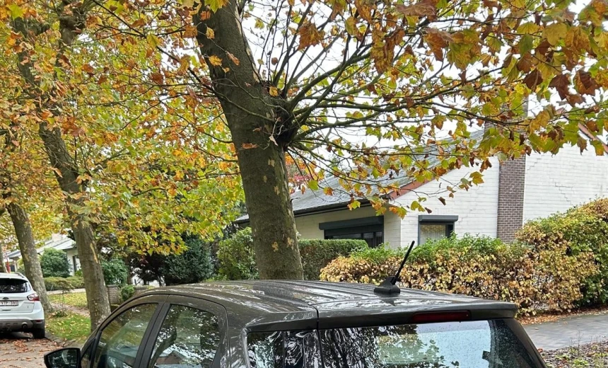 Ford EcoSport 2020 Gasoline Manual Image 3