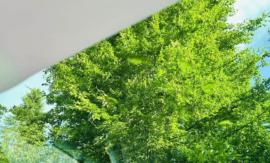 Volkswagen Golf Variant 2019 CNG Manual Image 4