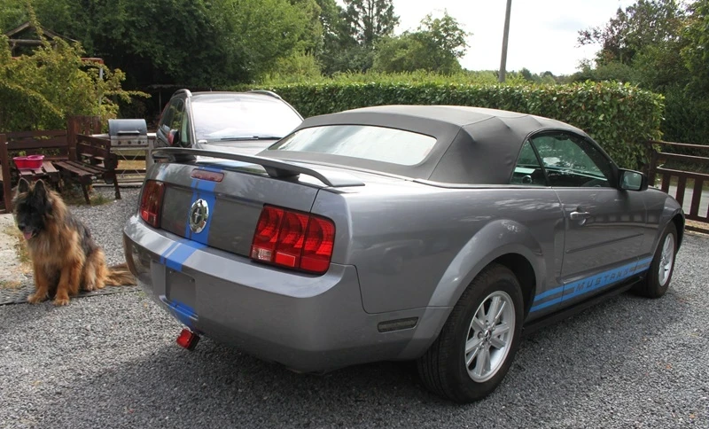 Ford Mustang 2006 Gasoline Automatic Image 1
