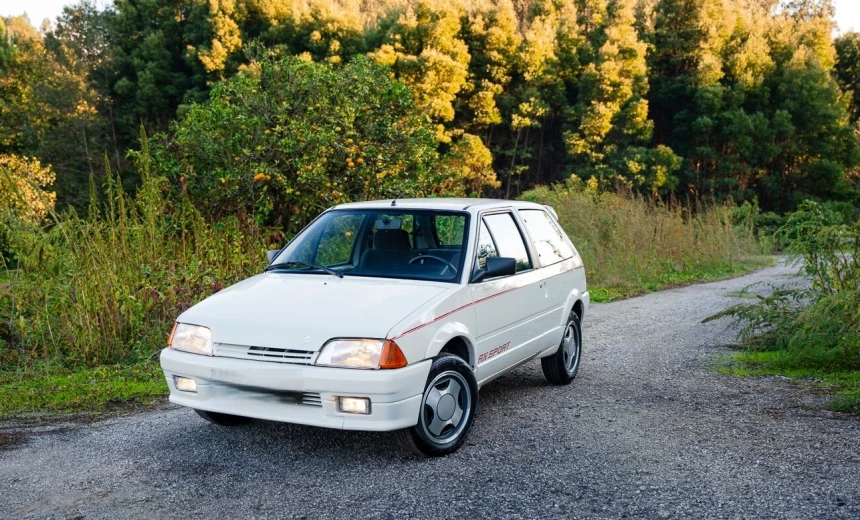 Citroen AX 1990 Gasoline Manual Image 0
