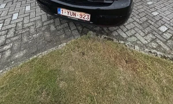 Opel Astra 2020 Gasoline Manual Image 1