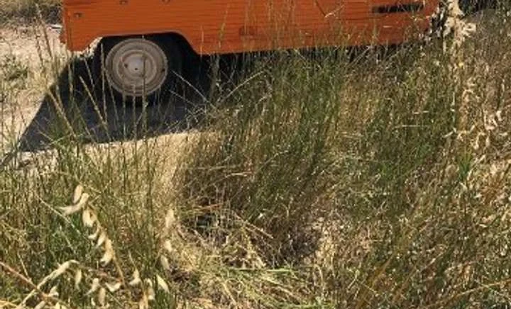 Citroen 2CV 1980 Gasoline Manual Image 0