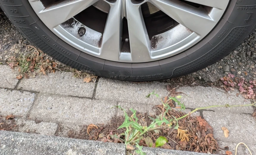 Renault Talisman 2018 Diesel Automatic Image 2