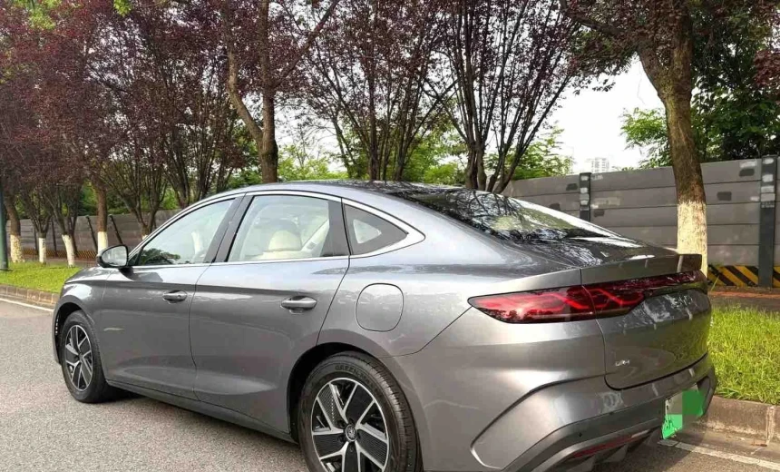 BYD Others 2024 Hydrogen Automatic Image 4