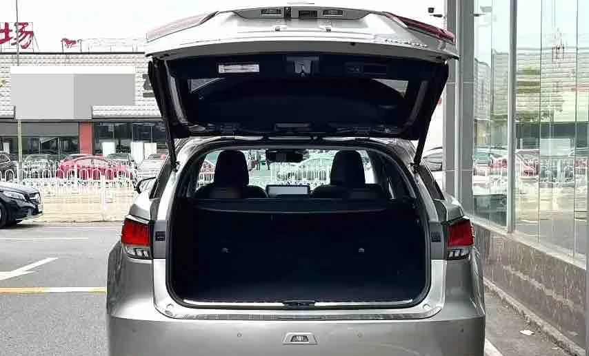 Lexus RX 300 2020 Gasoline Automatic Image 7