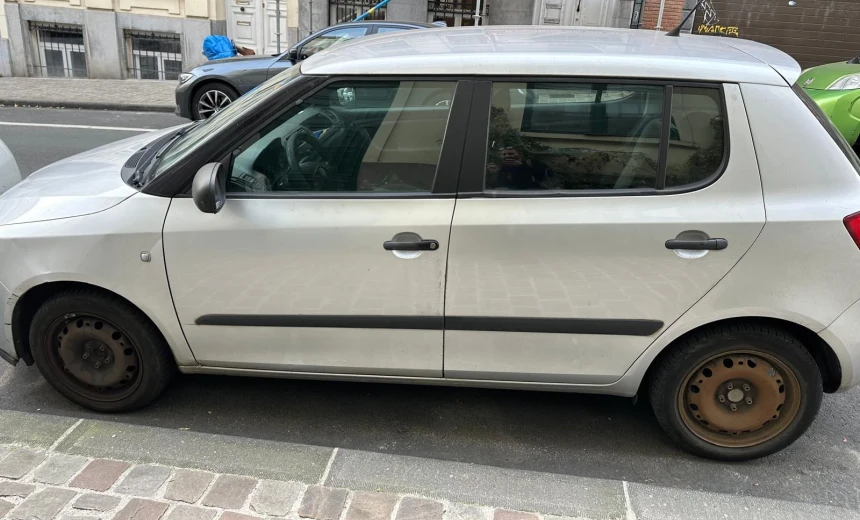 Skoda Fabia 2009 Gasoline Manual Image 1