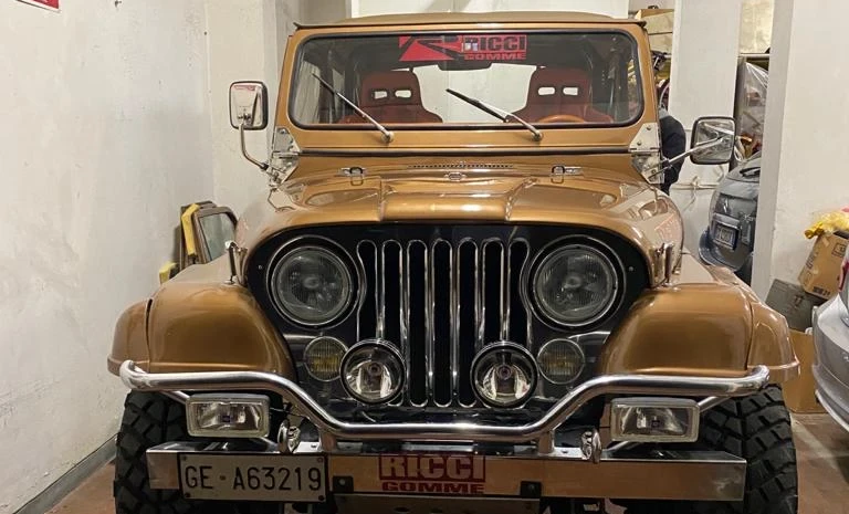 Jeep Renegade 1979 Gasoline Manual Image 0