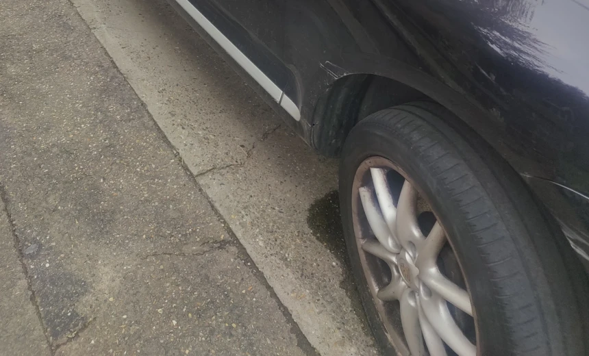 Porsche Cayenne 2005 Gasoline Manual Image 3