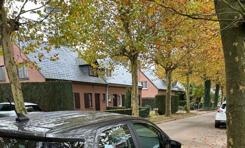 Ford EcoSport 2020 Gasoline Manual Image 9