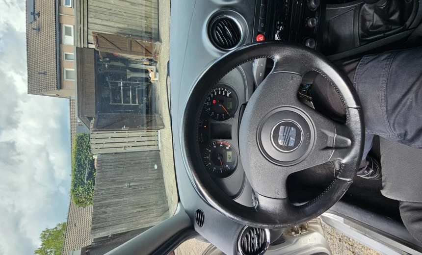 SEAT Ibiza 2003 Gasoline Manual Image 11